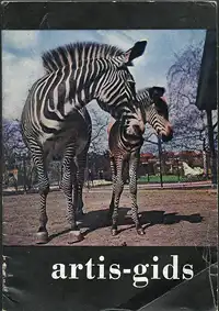 Gids (Zebra mit Jungtier). 