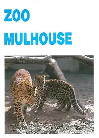 Zooführer (Leoparden). 2nd Edition. 