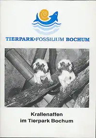 Krallenaffen im Tierpark Bochum. 