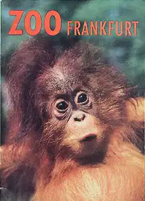 Wegweiser (Orang-Utan-Baby). 