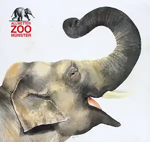 Zooführer (Elefant) 1996. 