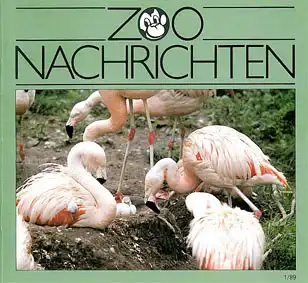Allwetterzoo Nachrichten 1/1989 - Jahresbericht 1988. 