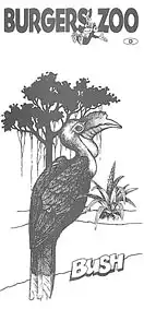 Kurzinformation (Bush) Hornvogel. 