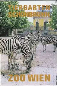 Faltplan mit Kurzinfo (Zebras). 