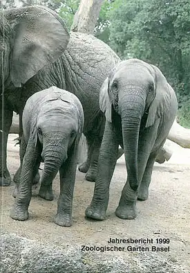Jahresbericht 1999. 