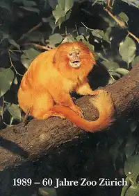 Jahresbericht 1989 -   60 Jahre Zoo. 