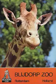 Zooführer (Giraffe) mit separatem Lageplan. 