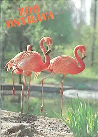 Zooführer (Flamingos). 