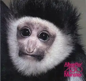 Zooführer (junger Guereza). 