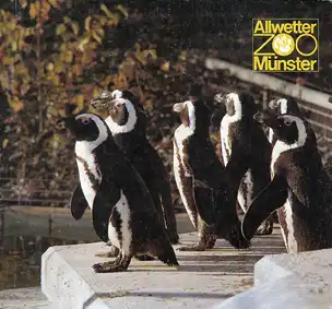 Zooführer (Brillenpinguine). 