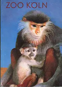 Zooführer (Kleideraffen) mit Faltplan. 