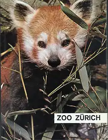 Zoof?hrer (Kleiner Panda). 