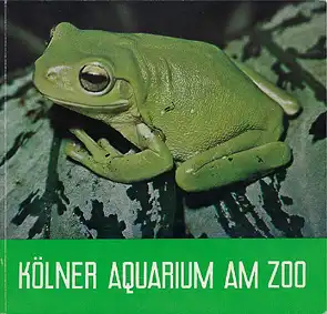 Führer (Frosch). 