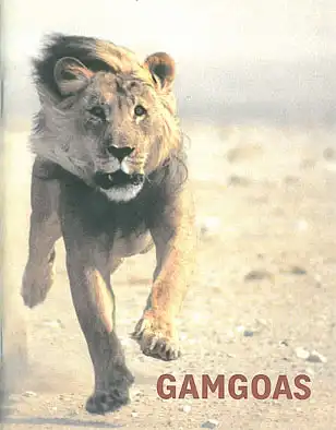 GAMGOAS - Der Ort, wo die Löwen sind. 