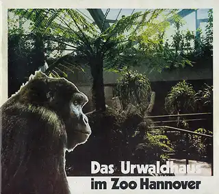 Das Urwaldhaus. 