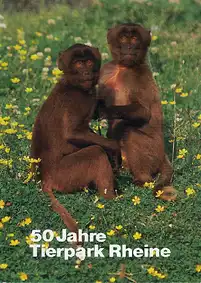 Zooführer (50 Jahre), 11. Auflage. 
