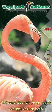 Faltblatt (Flamingo). 