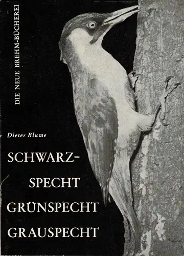 Schwarzspecht, Grünspecht, Grauspecht (Neue Brehm-Bücherei, Heft 300) 1. Auflage. 