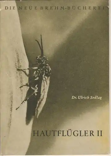 Hautflügler II: Blatt-, Halm- und Holzwespen (Neue Brehm-Bücherei, Heft 139). 