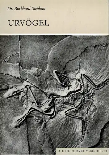 Urvögel. Archaeopterygiformes. (Neue Brehm-Bücherei. Heft 465). 