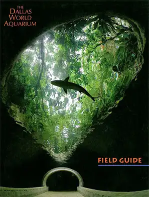 The Dallas World Aquarium, Field Guide (Hai von unten). 