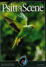 Psitta Scene August 2010. 