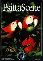 Psitta Scene May 2011. 