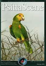 Psitta Scene February 2013. 