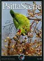 Psitta Scene May 2013. 