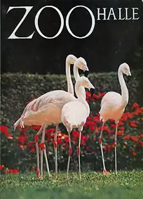 Wegweiser (Flamingos). 