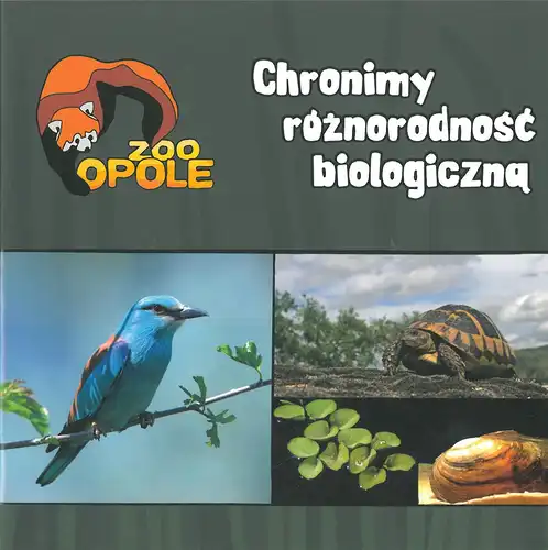 Chronimy (blauer Vogel, Schildkröte, Schnecke). 