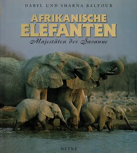 Afrikanische Elefanten - Majestäten der Savanne. 