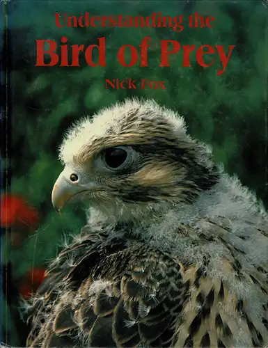 Understanding the Bird of Prey. 