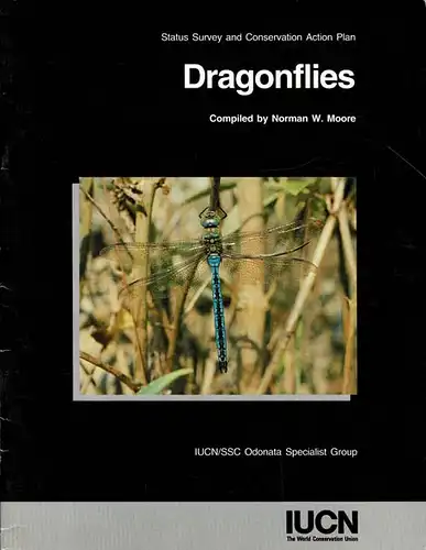 Dragonflies. 