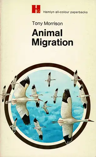 Animal Migration. 