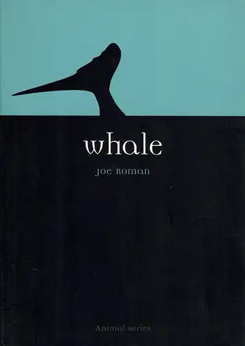 Whale. 