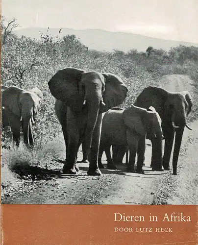 Dieren in Afrika. 