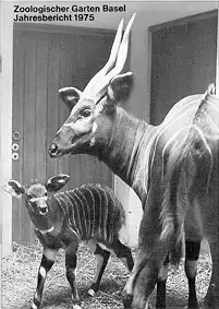 103. Jahresbericht 1975. 