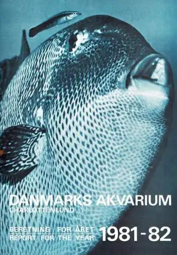 Jahresbericht 1981-82. 