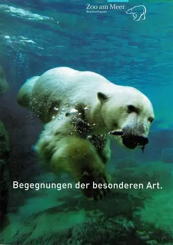 Begegnungen der besonderen Art… (Eisbär) - mit Einleger mit Programm der Eröffnungsfeier. 