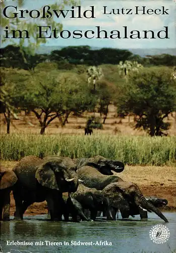 Großwild im Etoschaland. Erlebnisse mit Tieren in Südwest-Afrika. 