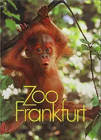 Wegweiser (Orang-Utan Baby). 