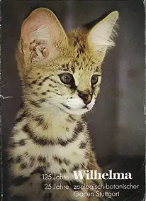 Zooführer (junger Serval, 125 Jahre). 