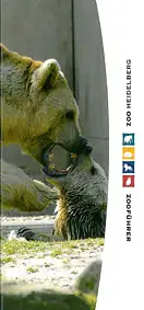 Zooführer (Bären). 