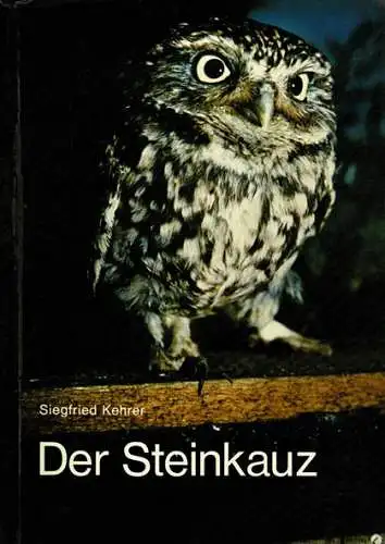 Der Steinkauz. 