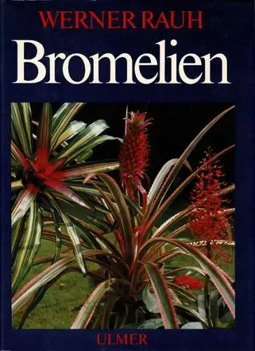 Bromelien : Tillandsien und andere kulturw?rdige Bromelien. 