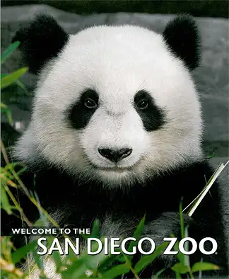 Zoof?hrer (Gro?er Panda; randlos). 