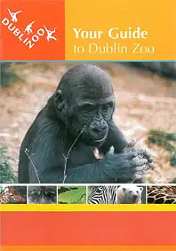 Your Guide to Dublin Zoo (junger Gorilla). 