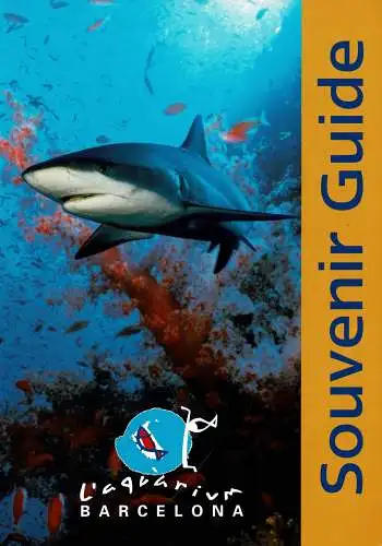 Souvenir Guide (shark). 