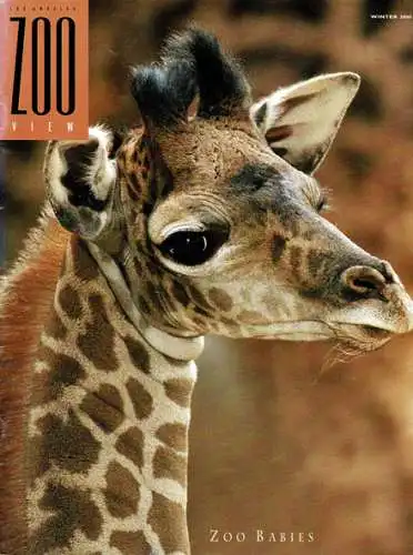 ZOO VIEW Magazine, Winter 2000 (Zoo Babies). 